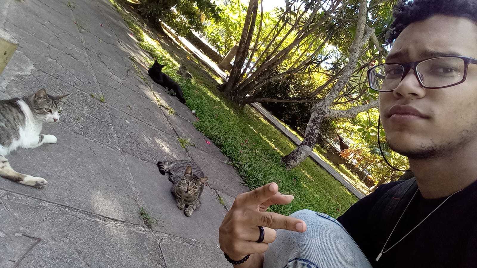me and some cats